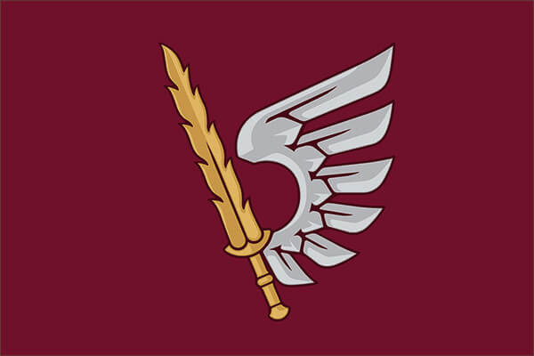 Прапор 79 бригади ДШВ ОДШБр з крилом