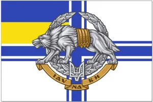 Прапор ССО на тлі ВМС