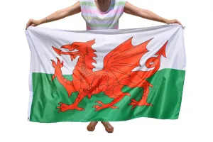 Прапор Уельсу
