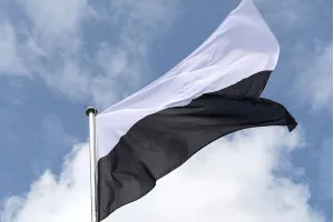 Прапор Надії, чорно-білий прапор