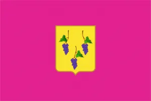 Прапор Ізюм