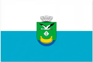 Прапор Дарницького району