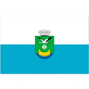 Прапор Дарницького району Прапор Дарницького району