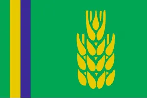 Прапор Миронівки