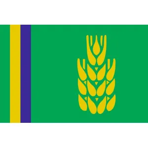 Прапор Миронівки