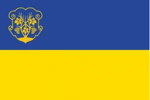 Прапор Ужгороду