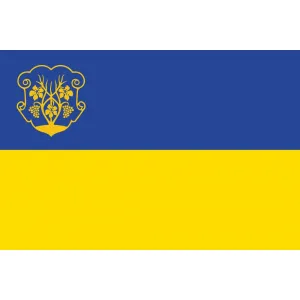 Прапор Ужгороду