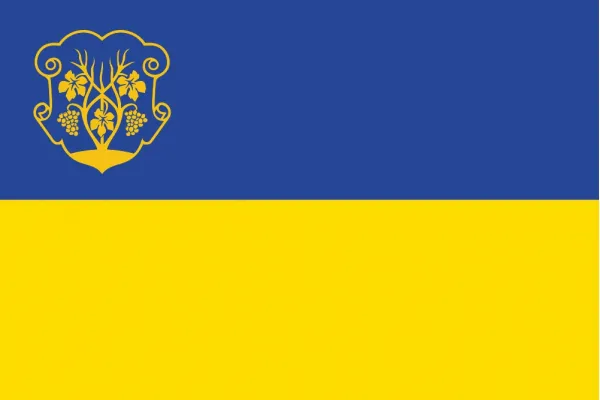 Прапор Ужгороду Прапор Ужгороду