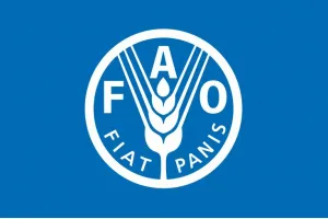 Прапор ФАО (продовольча і сільськогосподарська організація ООН)