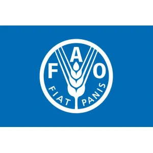 Прапор ФАО (продовольча і сільськогосподарська організація ООН)
