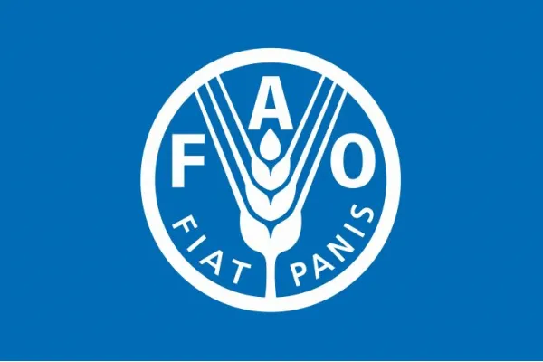 Прапор ФАО (продовольча і сільськогосподарська організація ООН)